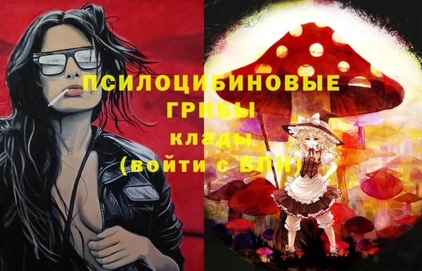 гидропоника Верхний Тагил