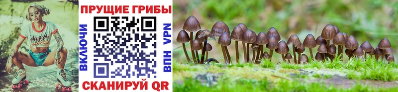 Псилоцибиновые грибы ЛСД  кракен ТОР  Ростов 